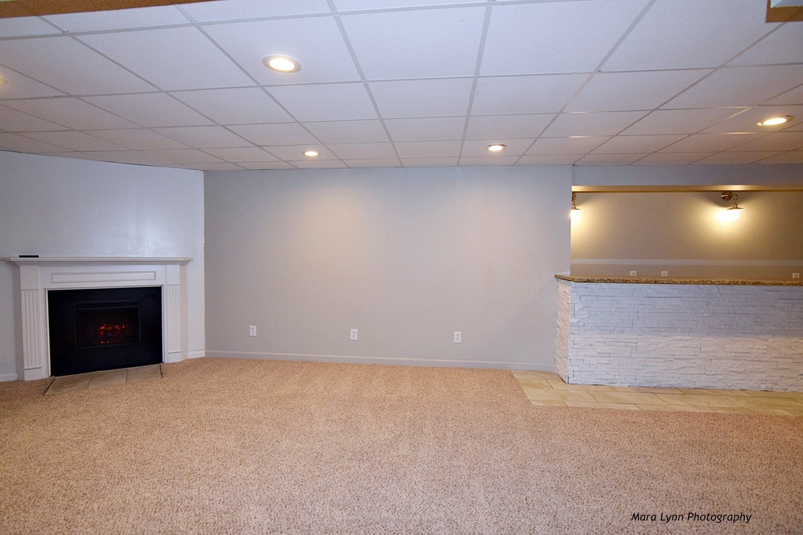 2231 Fargo Boulevard Geneva, IL 60134 - Photo 21 of 24 a view of an empty room with a fireplace