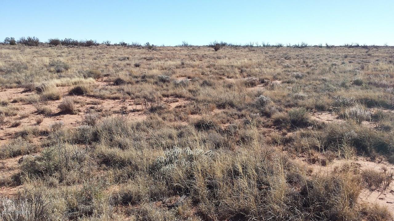 7901 Rockin R Ranch Trail Snowflake, AZ 85937 - Photo 1 of 9 Gallery Image 1