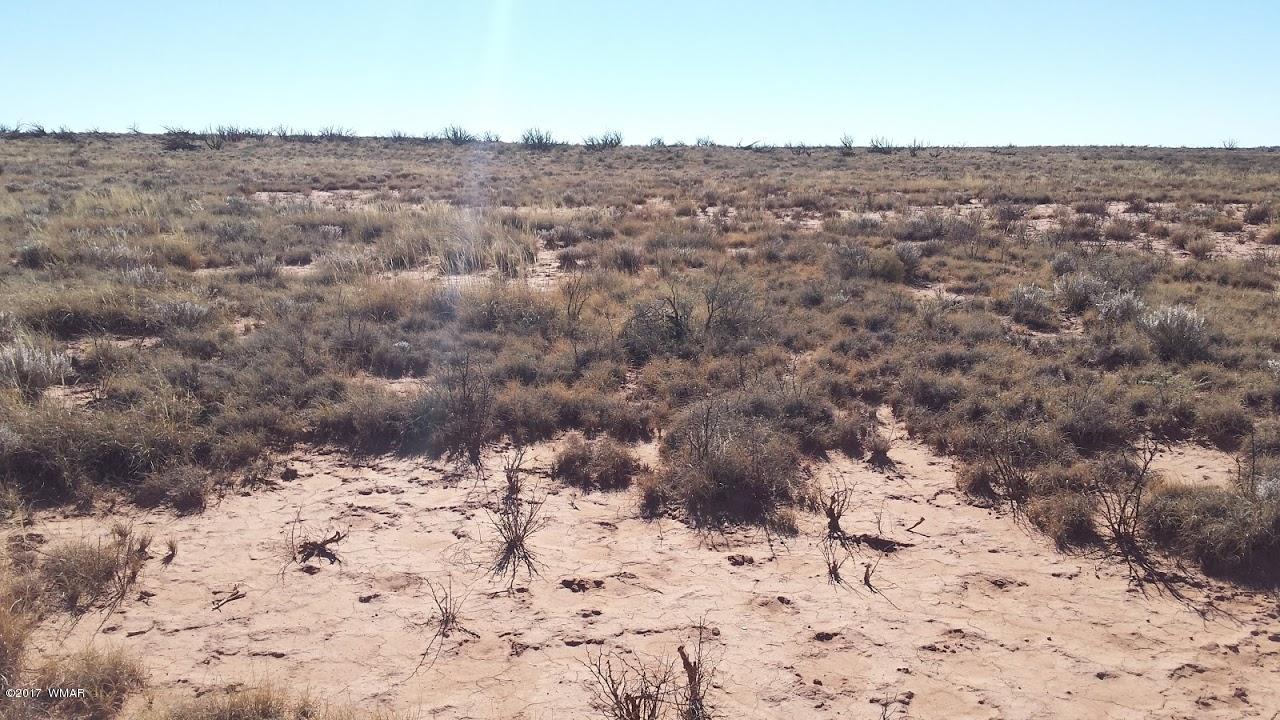 7901 Rockin R Ranch Trail Snowflake, AZ 85937 - Photo 3 of 9 Gallery Image 3