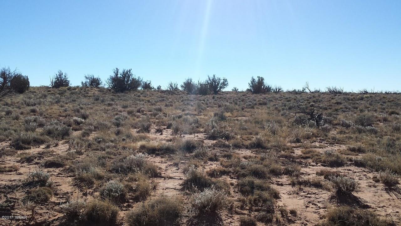 7901 Rockin R Ranch Trail Snowflake, AZ 85937 - Photo 7 of 9 Gallery Image 7