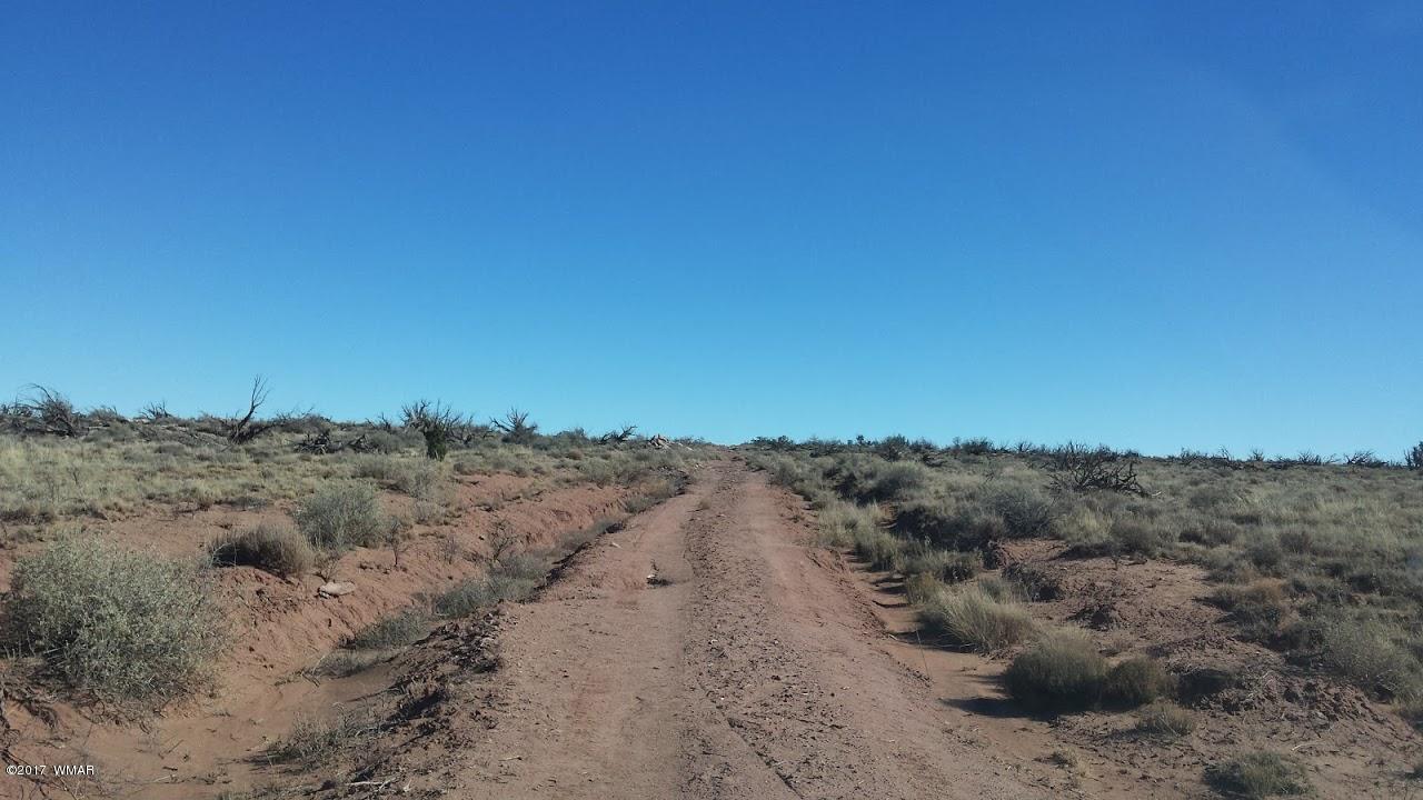 7901 Rockin R Ranch Trail Snowflake, AZ 85937 - Photo 8 of 9 Gallery Image 8