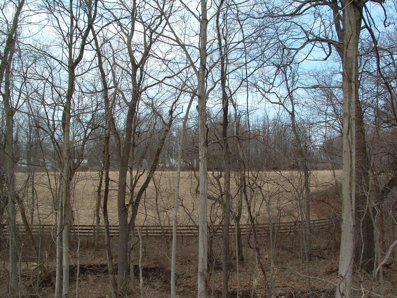 12338 Morse Road Pataskala, OH 43062 - Photo 25 of 43 DSCF0024