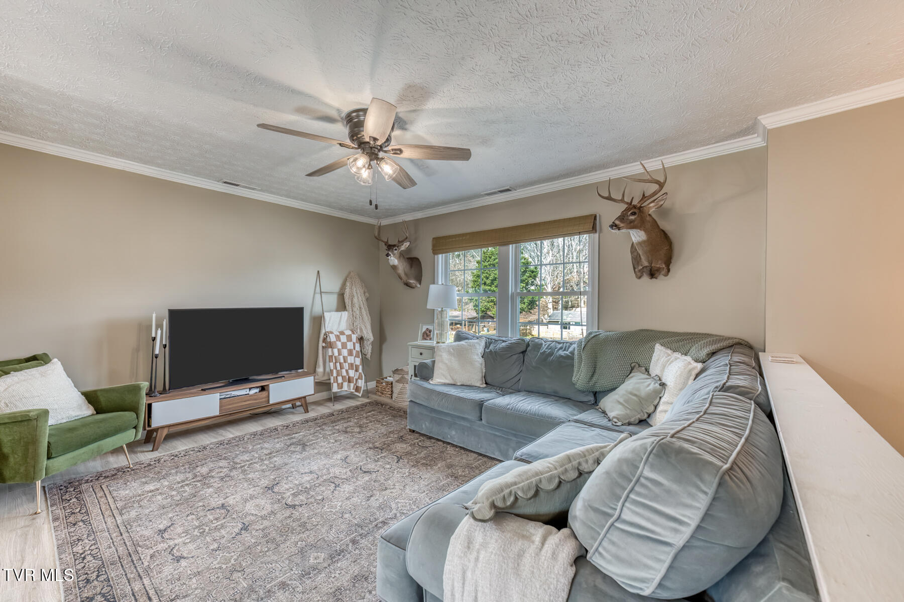 328 Kings Road Piney Flats, TN 37686 - Photo 5 of 40 328 Kings Rd-5