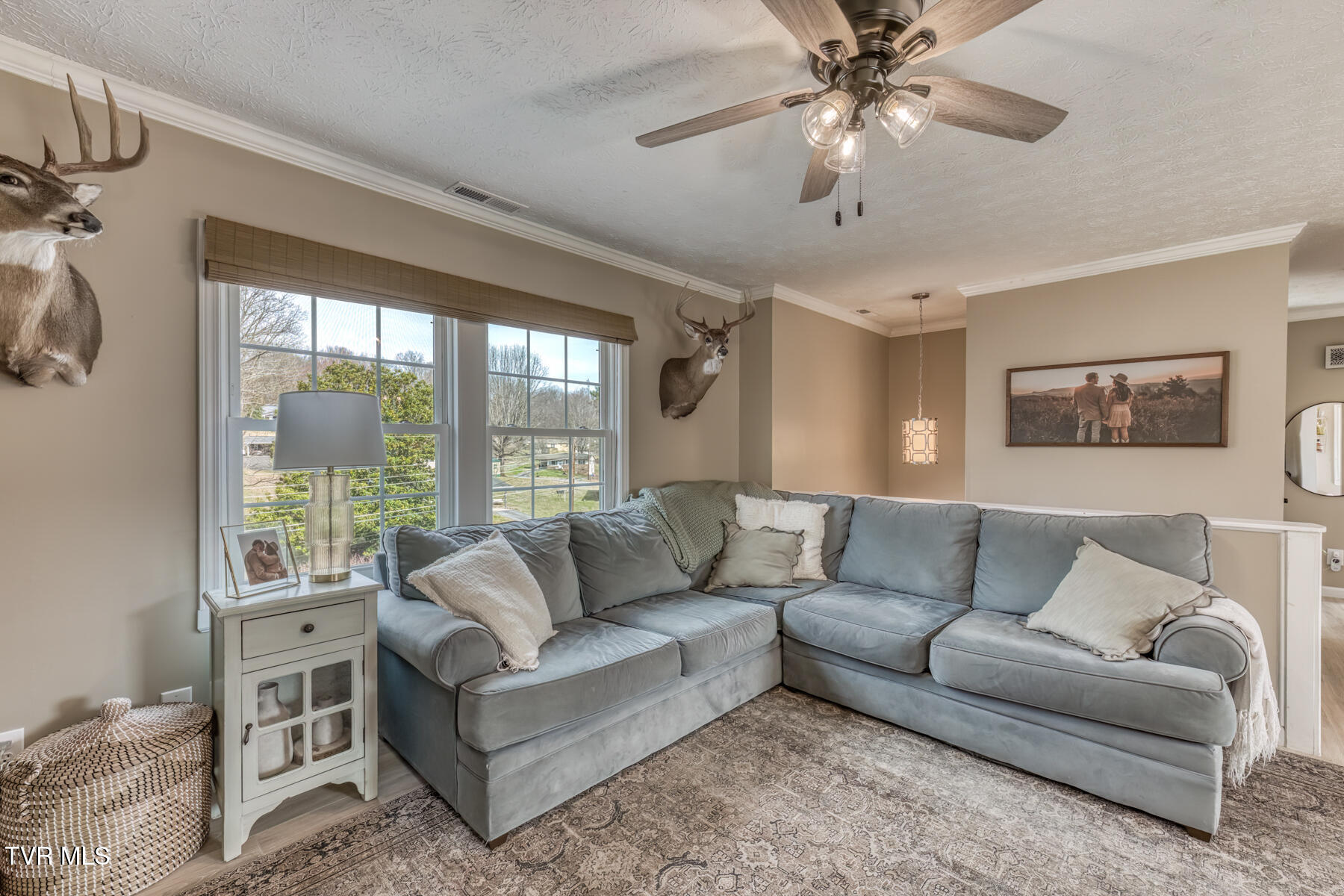 328 Kings Road Piney Flats, TN 37686 - Photo 6 of 40 328 Kings Rd-6