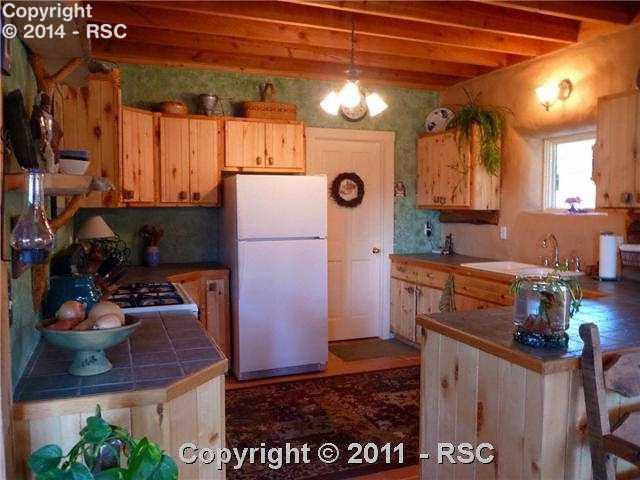 1101 Doe Valley Road Guffey, CO 80820 - Photo 7 of 16 A great kitchen for cooking your bounty