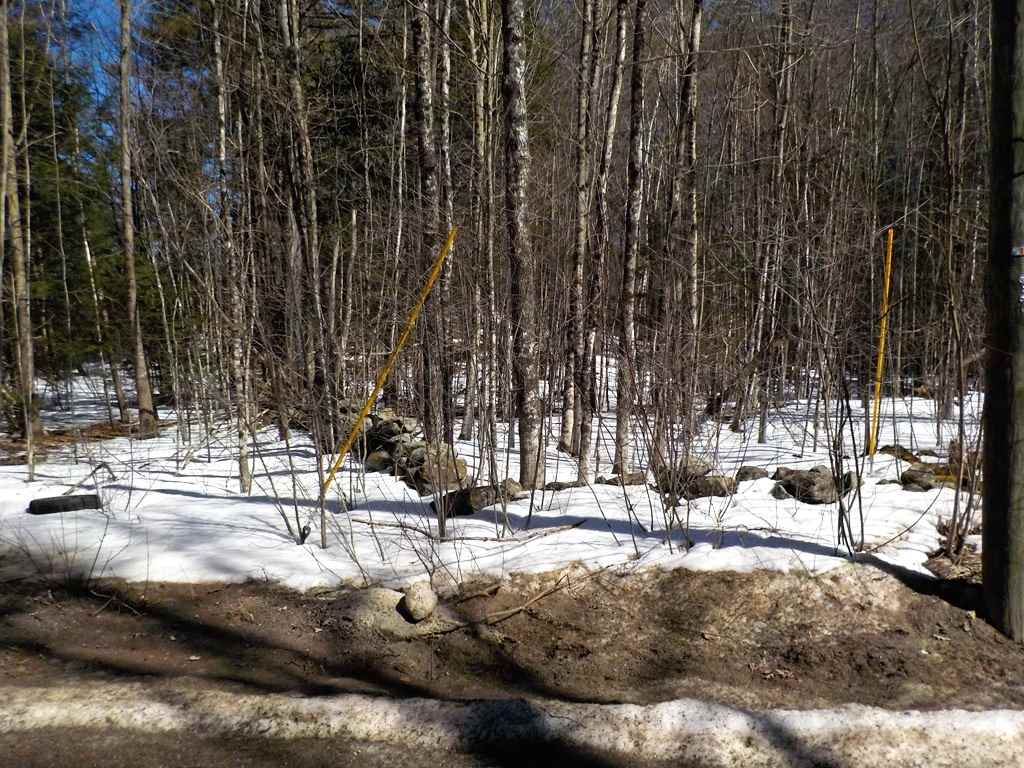 0 Calef Hill Road, Unit LOT 405 Franklin, NH 03235 - Photo 2 of 7 Gallery Image 2