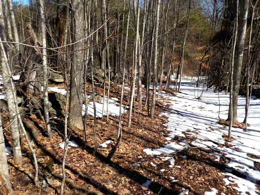 0 Calef Hill Road, Unit LOT 405 Franklin, NH 03235 - Photo 6 of 7 Gallery Image 6