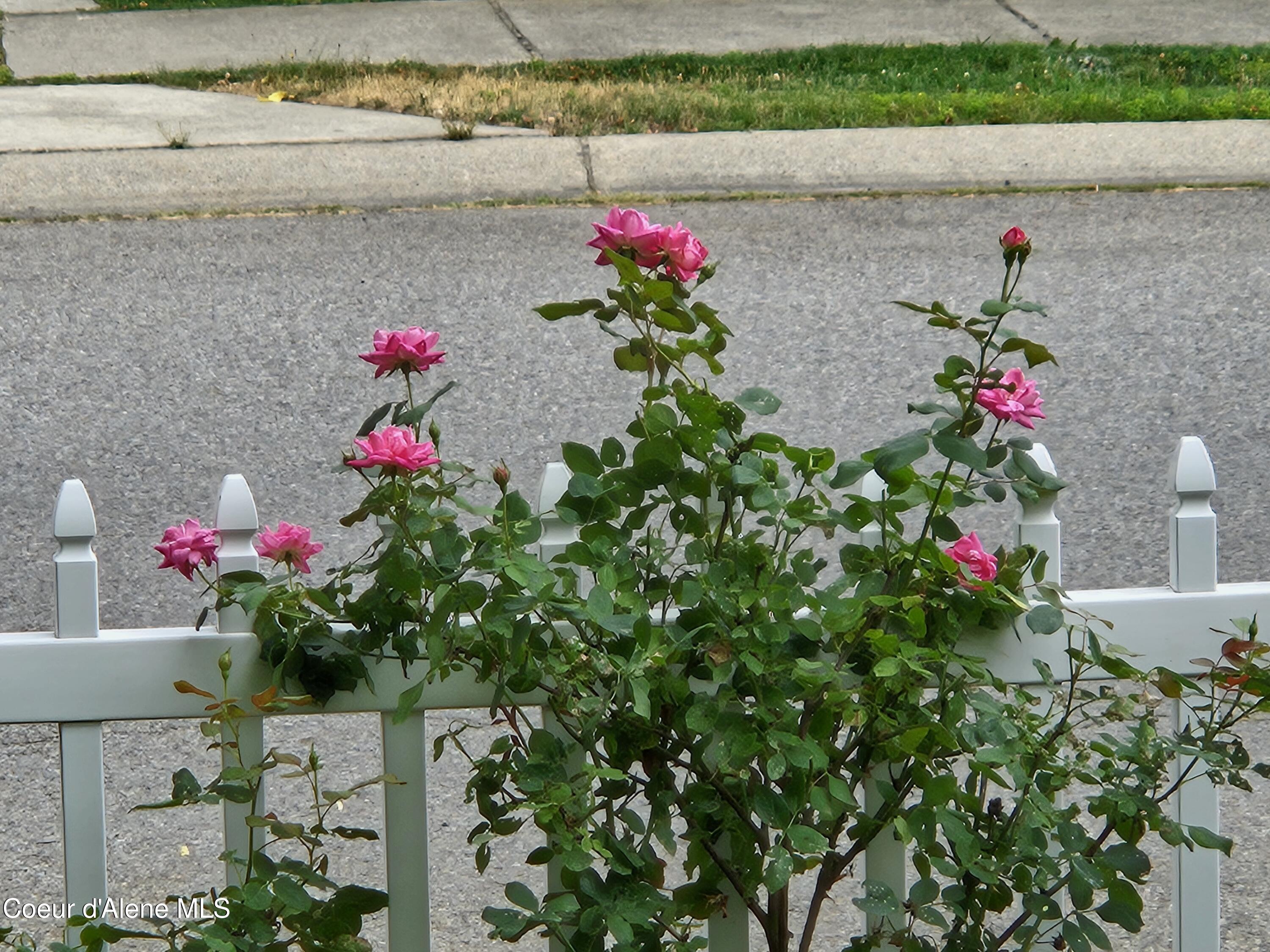 8288 Nebraska Street Rathdrum, ID 83858 - Photo 47 of 52 Summer