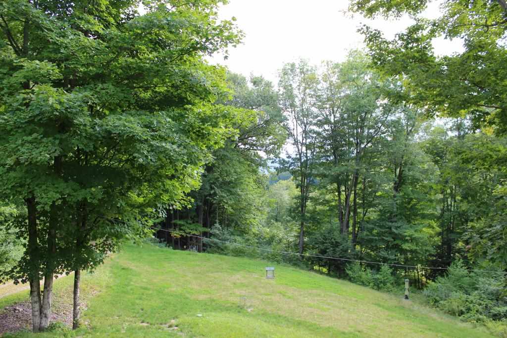 190 Trombley Road Springfield, VT 05156 - Photo 5 of 22