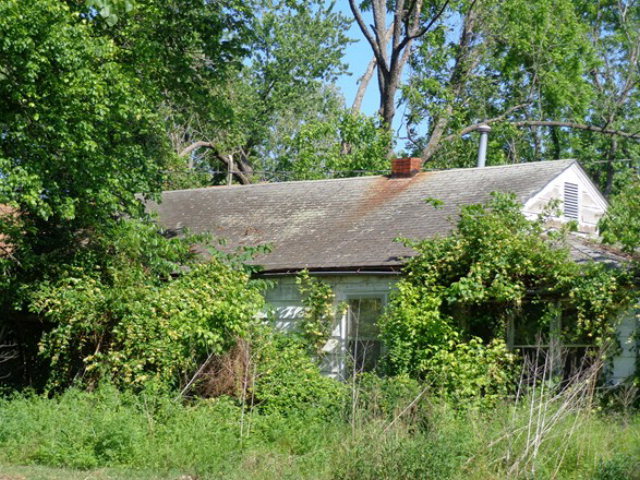 62 A Rt 3 Birch Tree, MO 65438 - Photo 1 of 1 Primary Photo