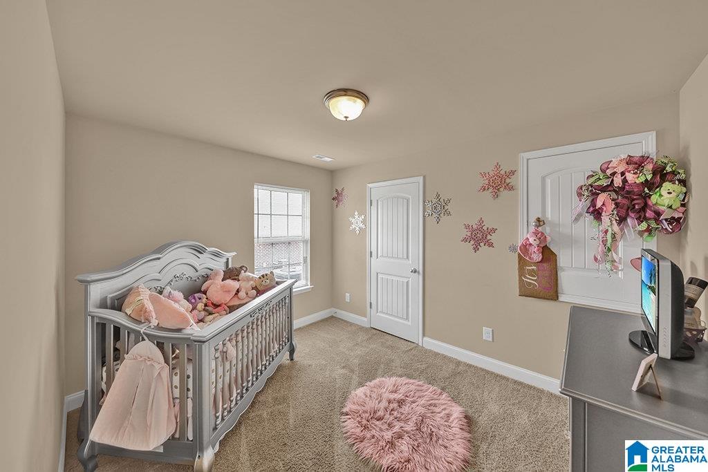 6809 Oaklawn Lane McCalla, AL 35111 - Photo 21 of 33