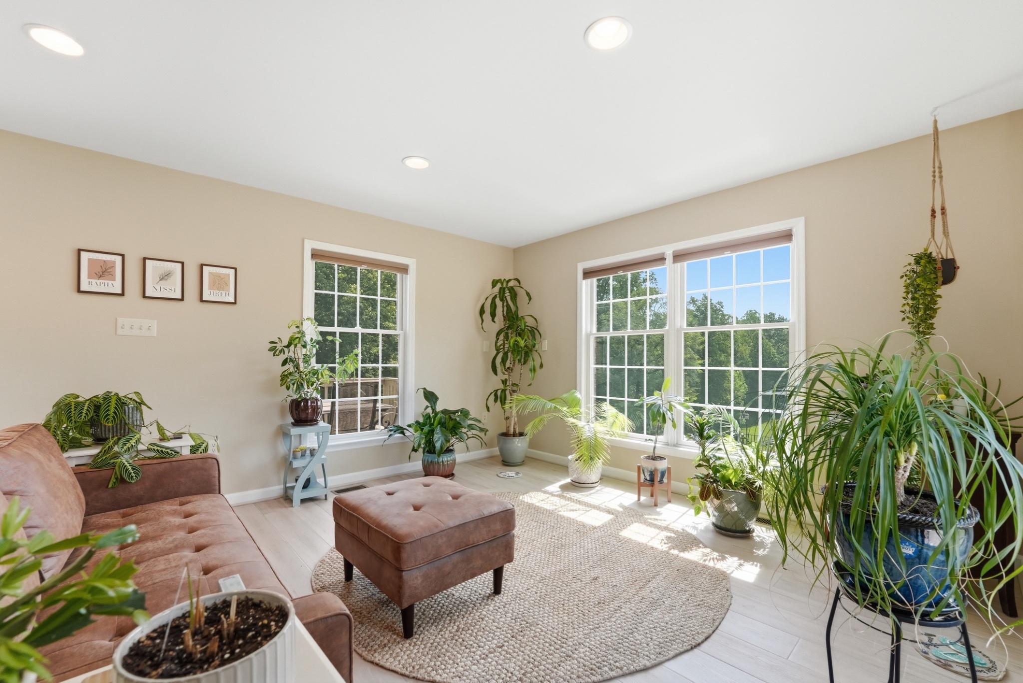 11337 Old Stillhouse Road Boston, VA 22713 - Photo 20 of 58 a living room with furniture and a potted plant