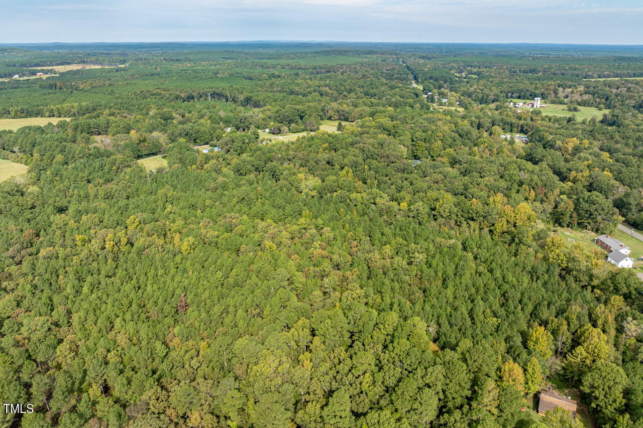 401 Major Lee Road Pittsboro, NC 27312 - Photo 12 of 23 a view of a big yard with lots of bushes