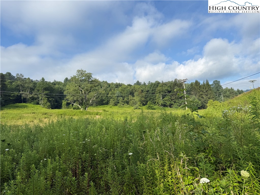Deep Gap Drive Deep Gap, NC 28618 - Photo 13 of 31 a view of a green field