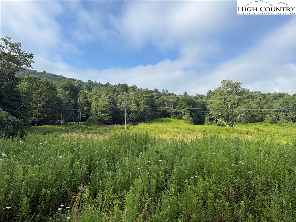 Deep Gap Drive Deep Gap, NC 28618 - Photo 14 of 31 a view of a field of grass and trees
