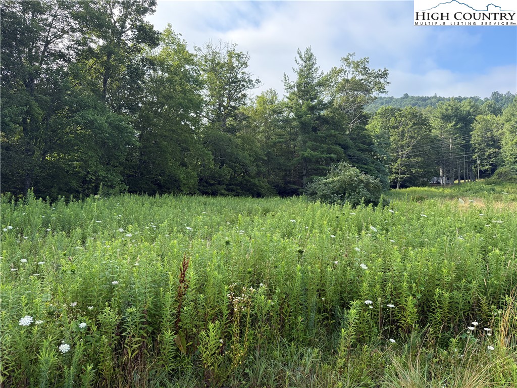 Deep Gap Drive Deep Gap, NC 28618 - Photo 15 of 31 a view of garden with trees