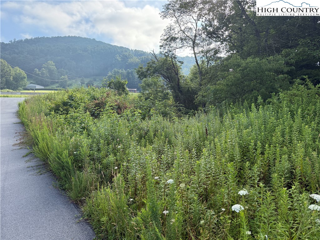 Deep Gap Drive Deep Gap, NC 28618 - Photo 23 of 31 a view of a yard with plants and a bench
