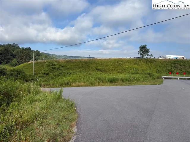 a view of a lush green space