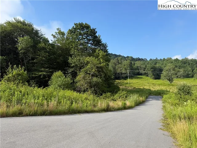 a view of a pathway with a garden