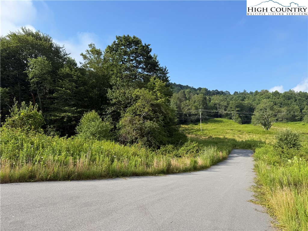 Deep Gap Drive Deep Gap, NC 28618 - Photo 27 of 31 a view of a garden with a building in the background