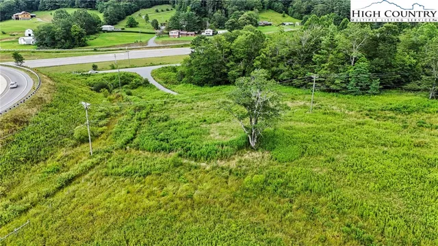 a view of a lush green forest with a bench and trees