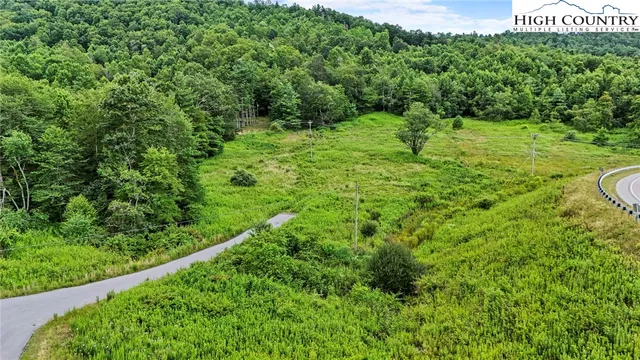 a view of a garden with a bench