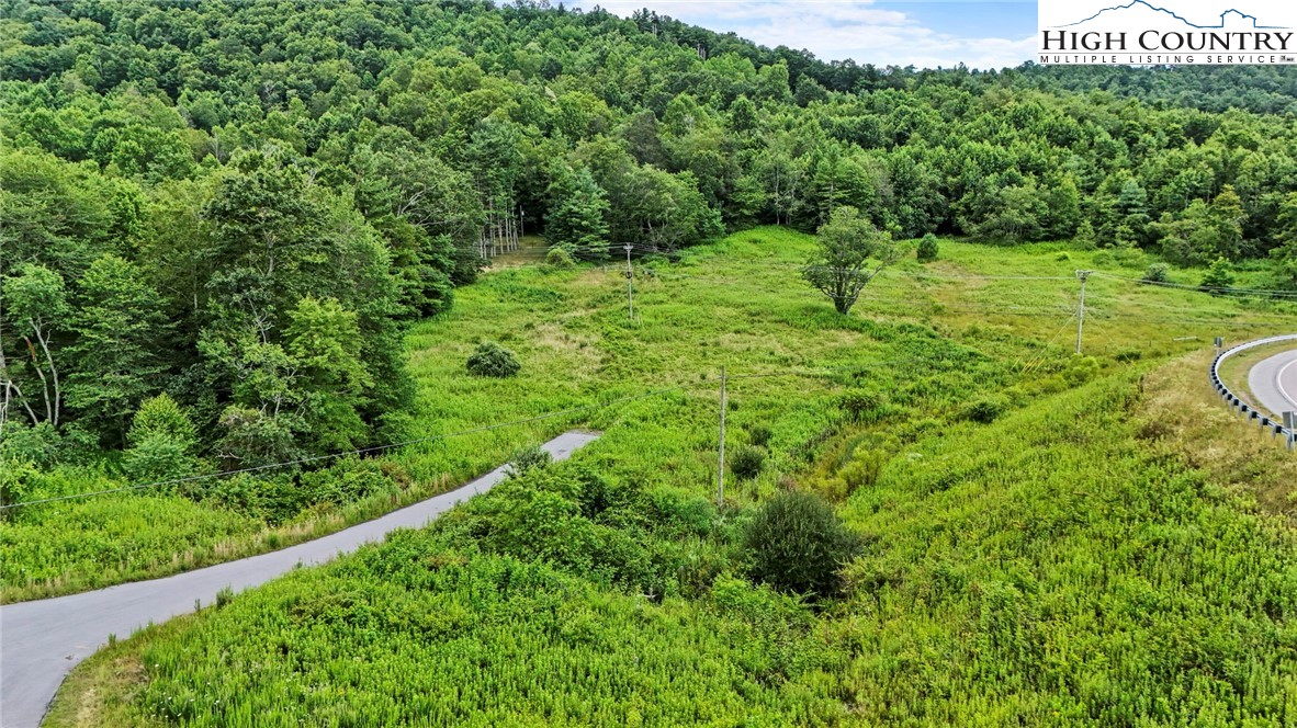 Deep Gap Drive Deep Gap, NC 28618 - Photo 9 of 31 a view of a lush green forest with a bench and trees