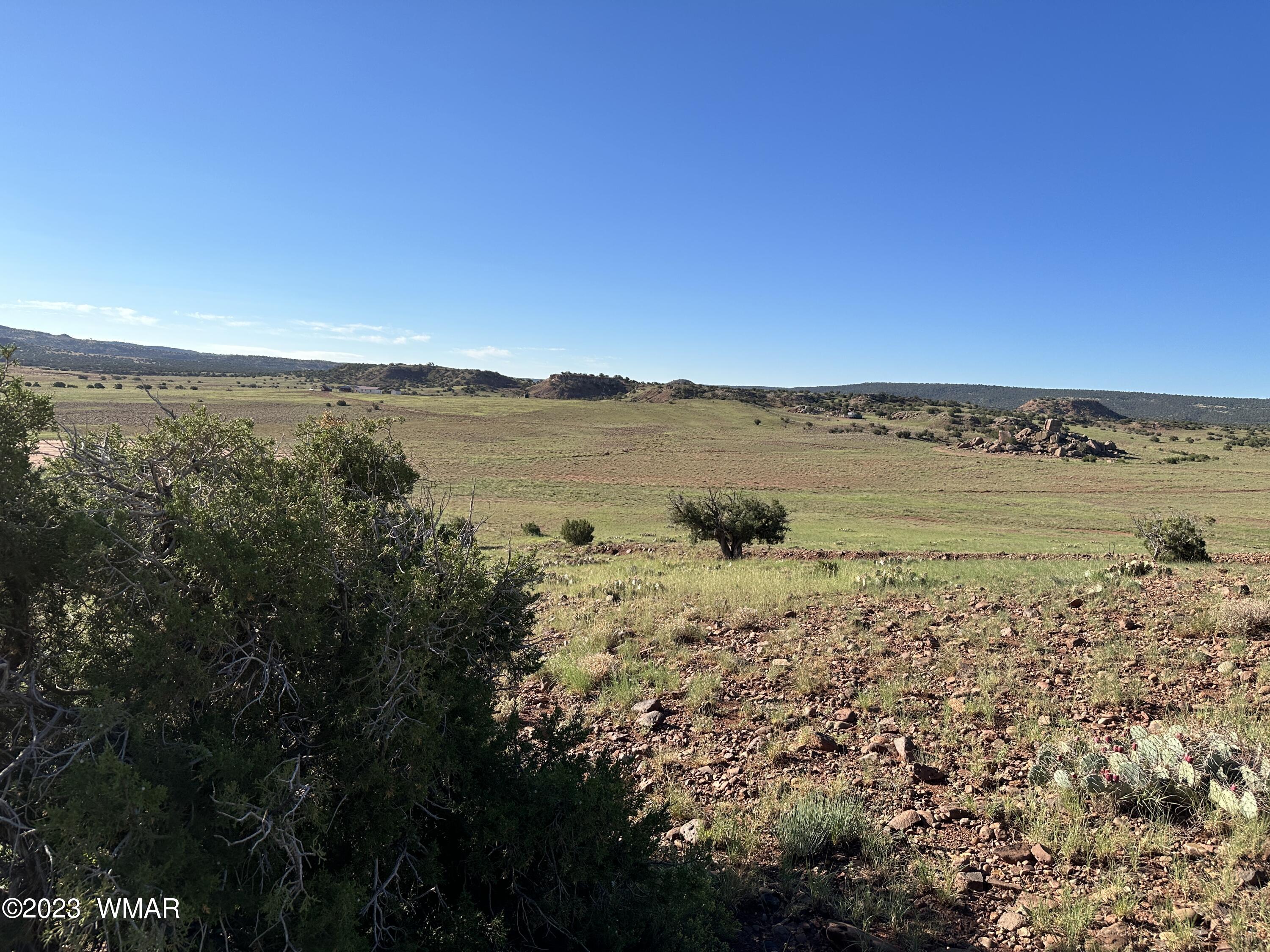 135 Apache County Road Concho, AZ 85924 - Photo 5 of 15