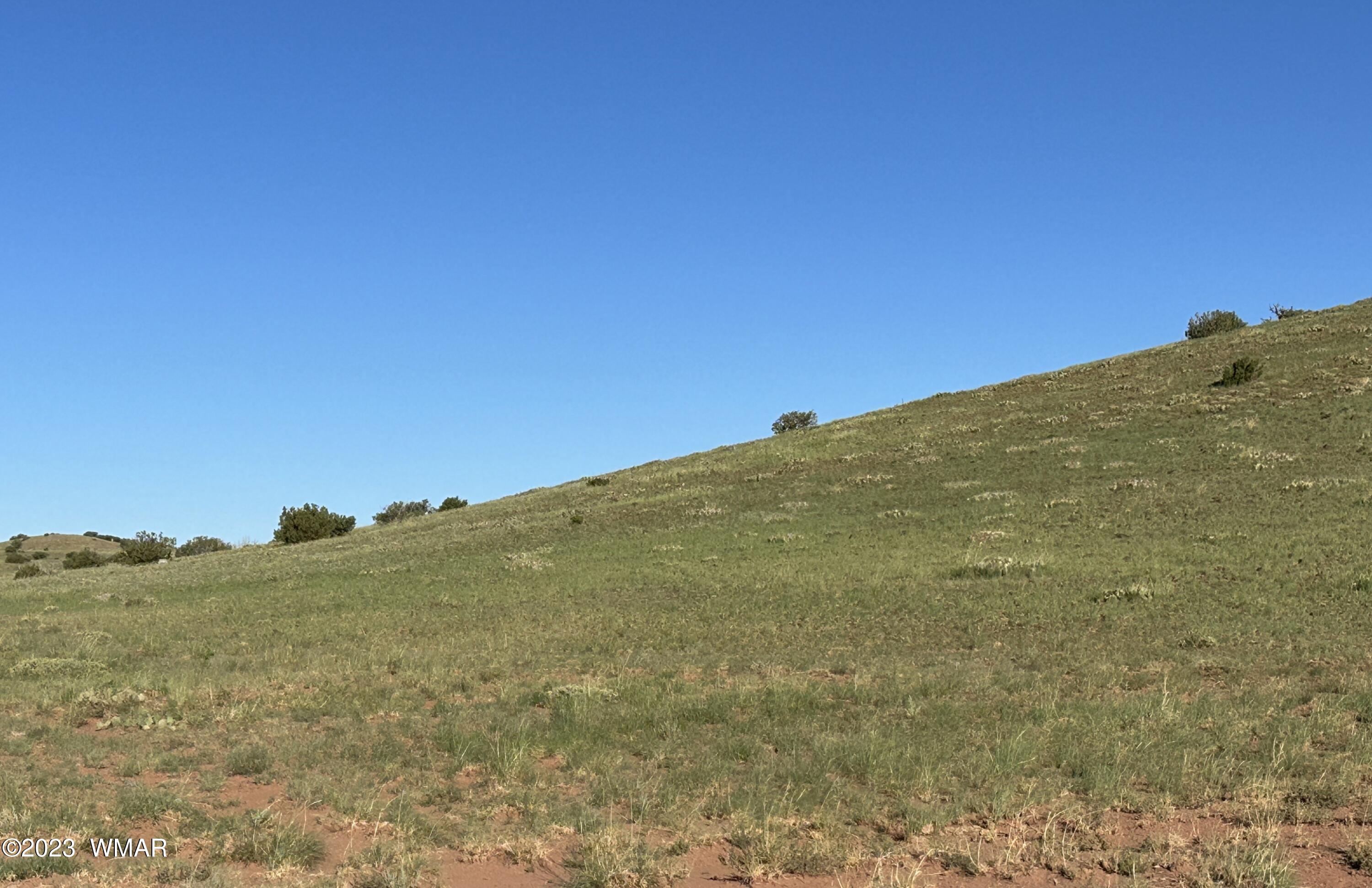 135 Apache County Road Concho, AZ 85924 - Photo 6 of 15