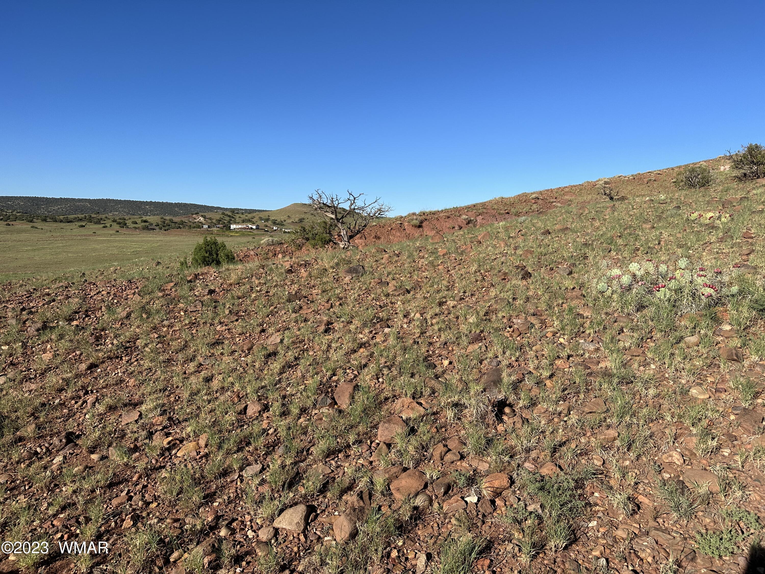 135 Apache County Road Concho, AZ 85924 - Photo 7 of 15