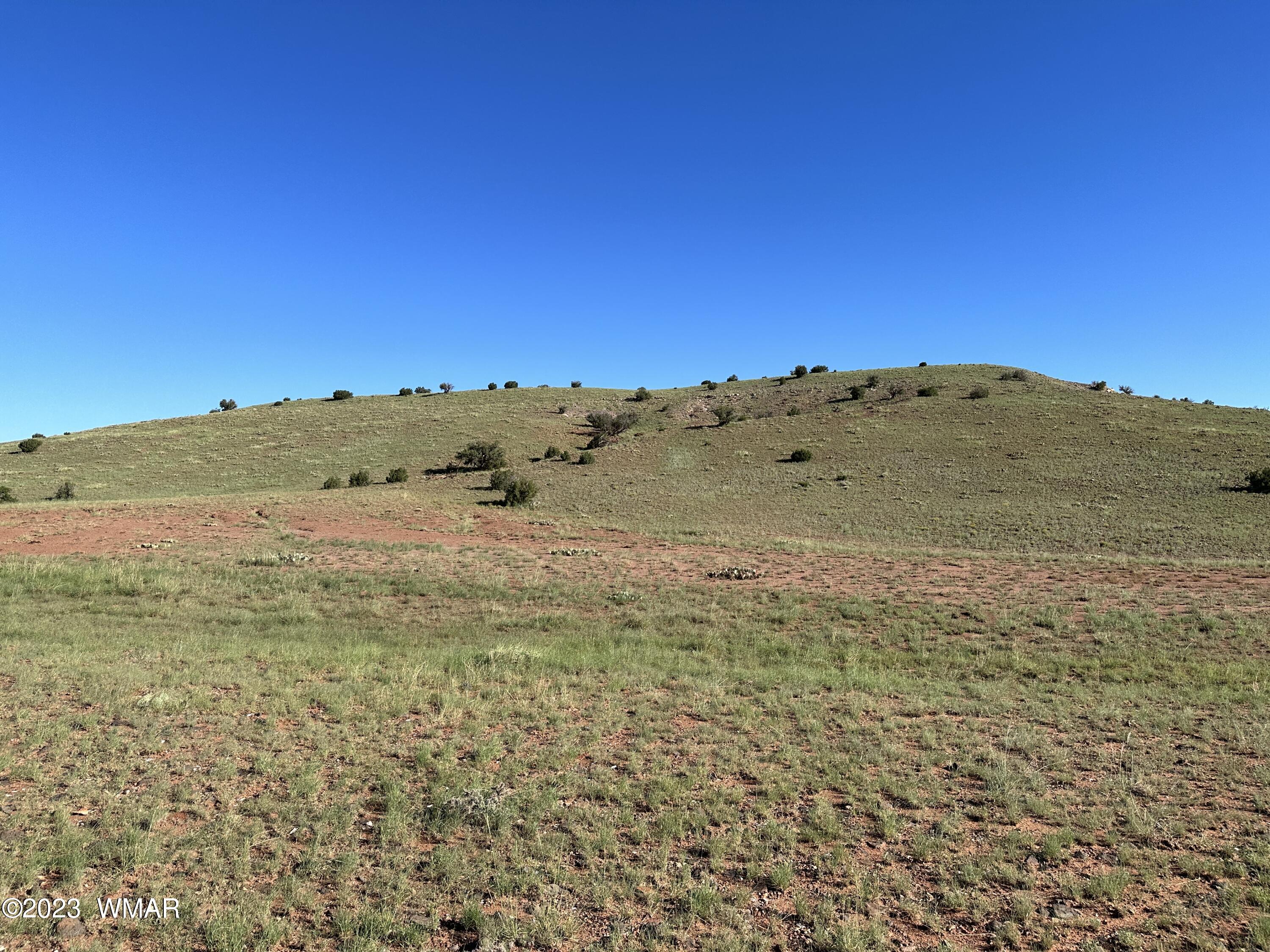 135 Apache County Road Concho, AZ 85924 - Photo 9 of 15