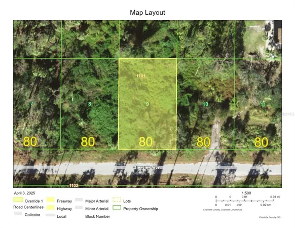 a black and white photo of a garden