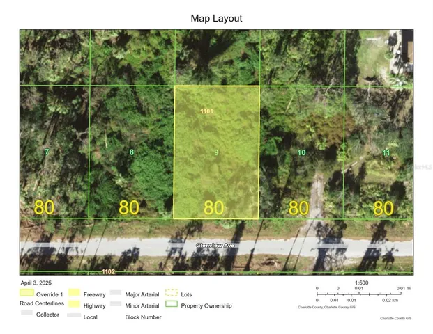 a black and white photo of a garden