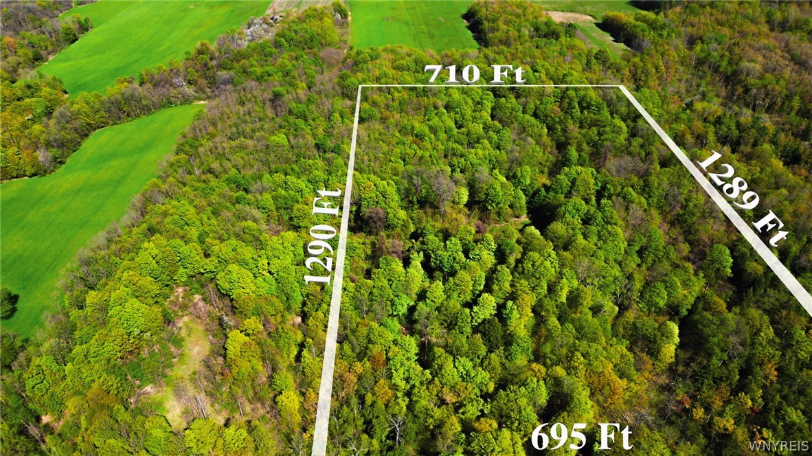 V/l County Line Road Perrysburg, NY 14129 - Photo 1 of 1 Gallery Image 1