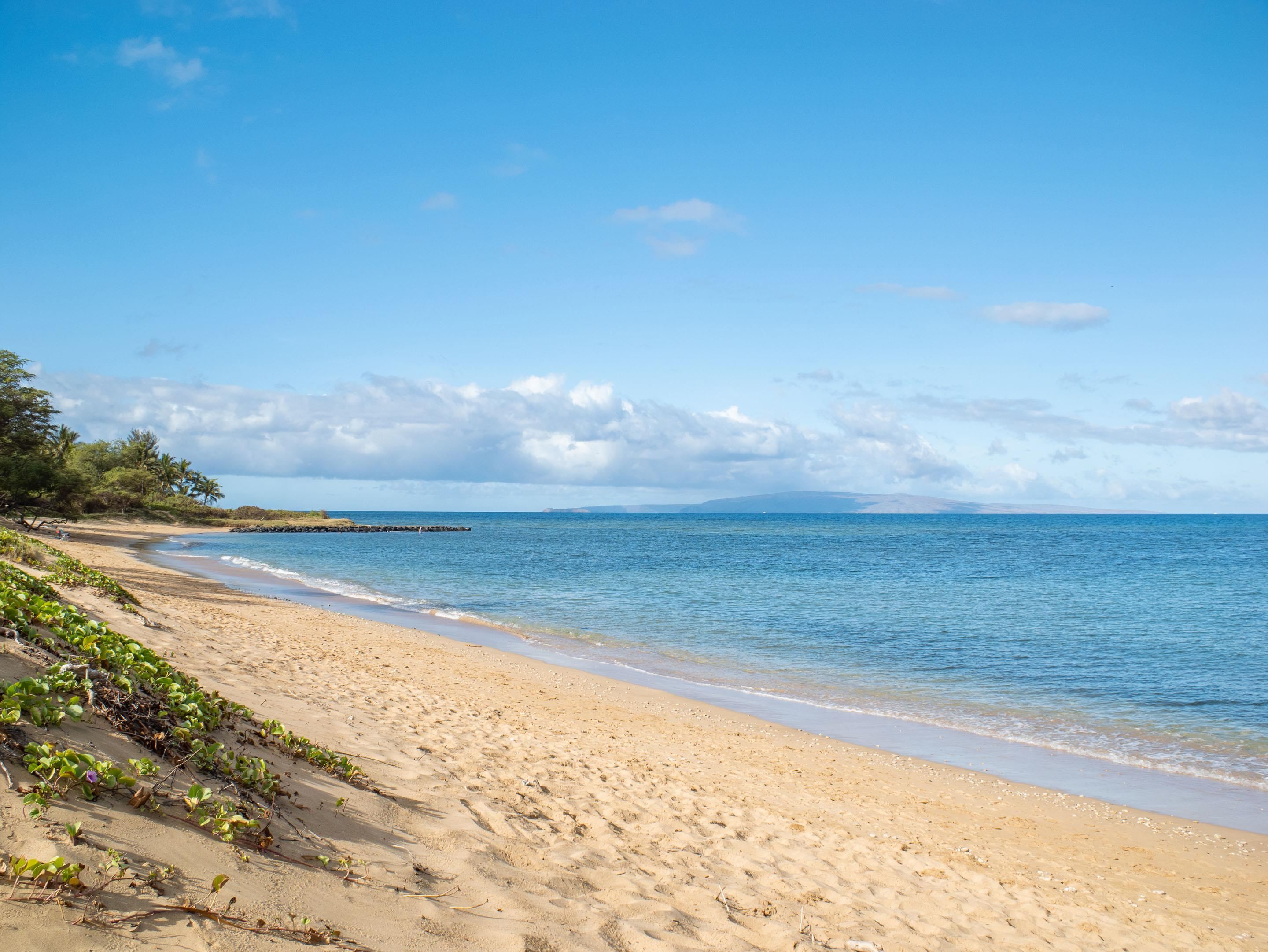 1299 Uluniu Rd Unit B102