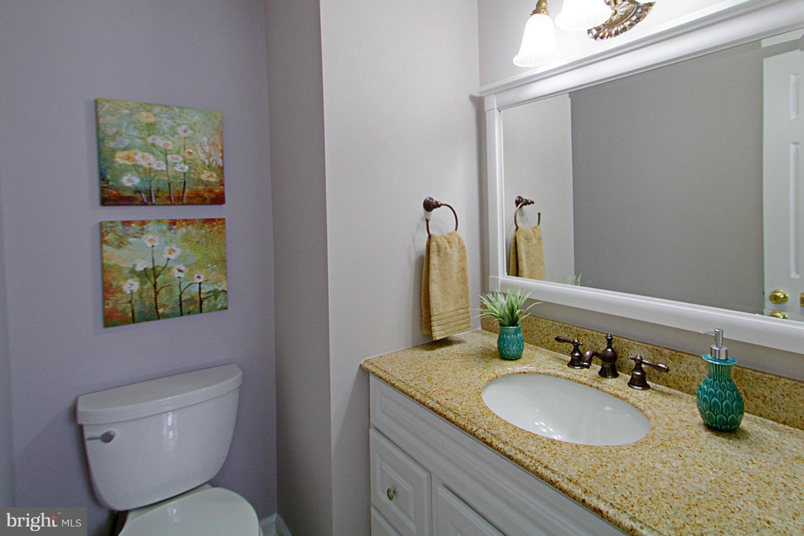 1321 Deep Run Lane Reston, VA 20190 - Photo 14 of 30 a bathroom with a granite countertop toilet sink and mirror