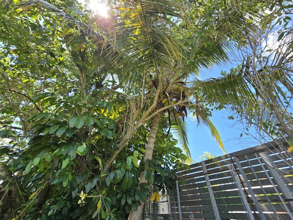 13 Nebraska Guaynabo, PR 00969 - Photo 30 of 47