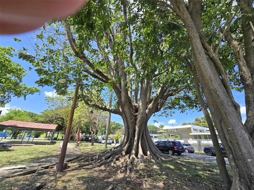 13 Nebraska Guaynabo, PR 00969 - Photo 36 of 47