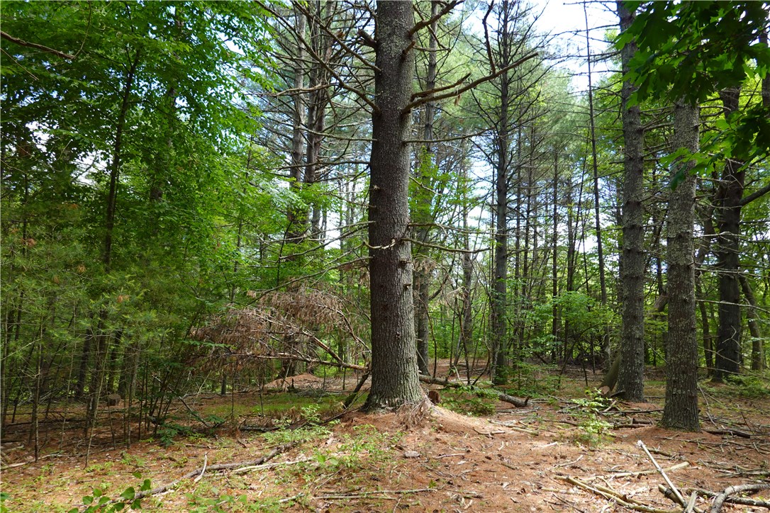 0 Dormar Road Wood River Junction, RI 02894 - Photo 1 of 10