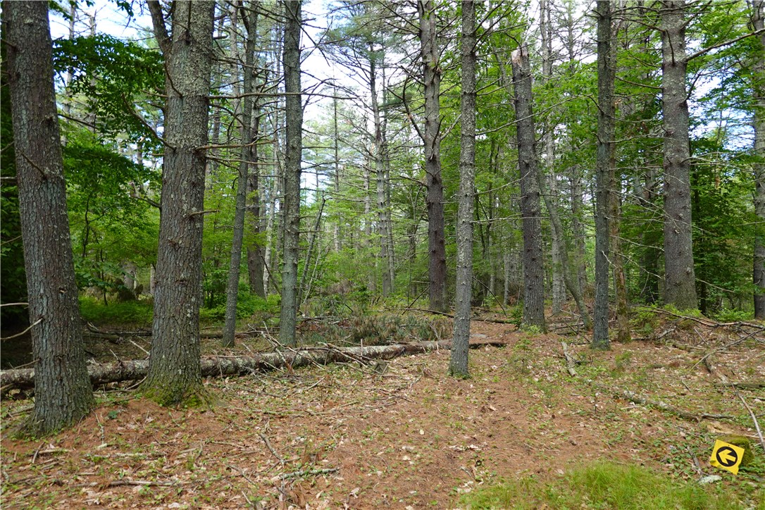 0 Dormar Road Wood River Junction, RI 02894 - Photo 2 of 10