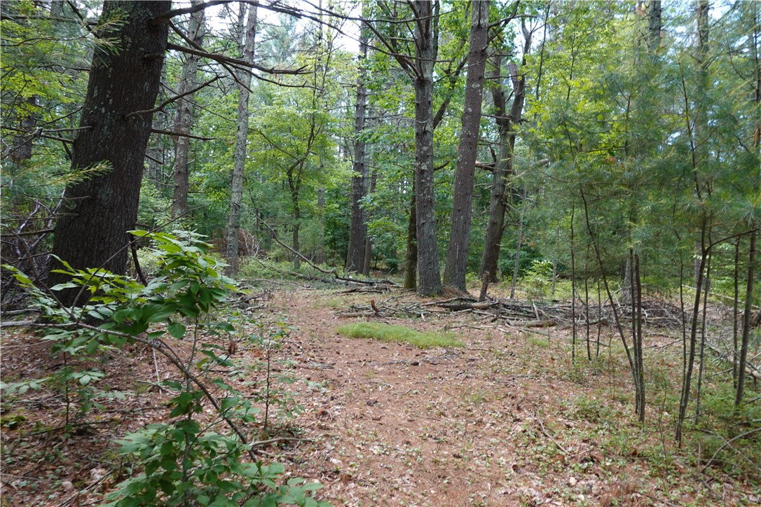 0 Dormar Road Wood River Junction, RI 02894 - Photo 3 of 10