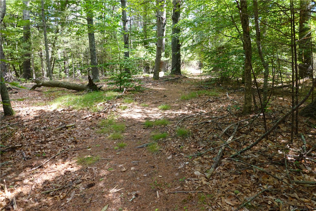 0 Dormar Road Wood River Junction, RI 02894 - Photo 4 of 10