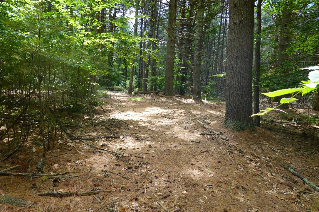 0 Dormar Road Wood River Junction, RI 02894 - Photo 5 of 10