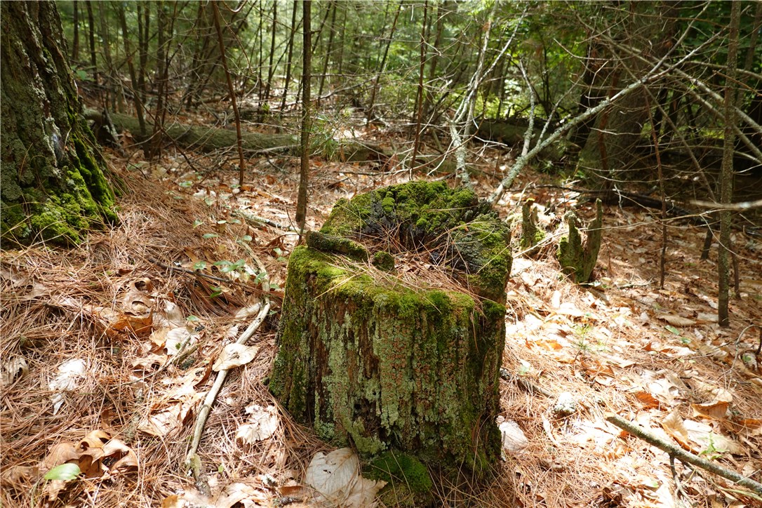 0 Dormar Road Wood River Junction, RI 02894 - Photo 8 of 10