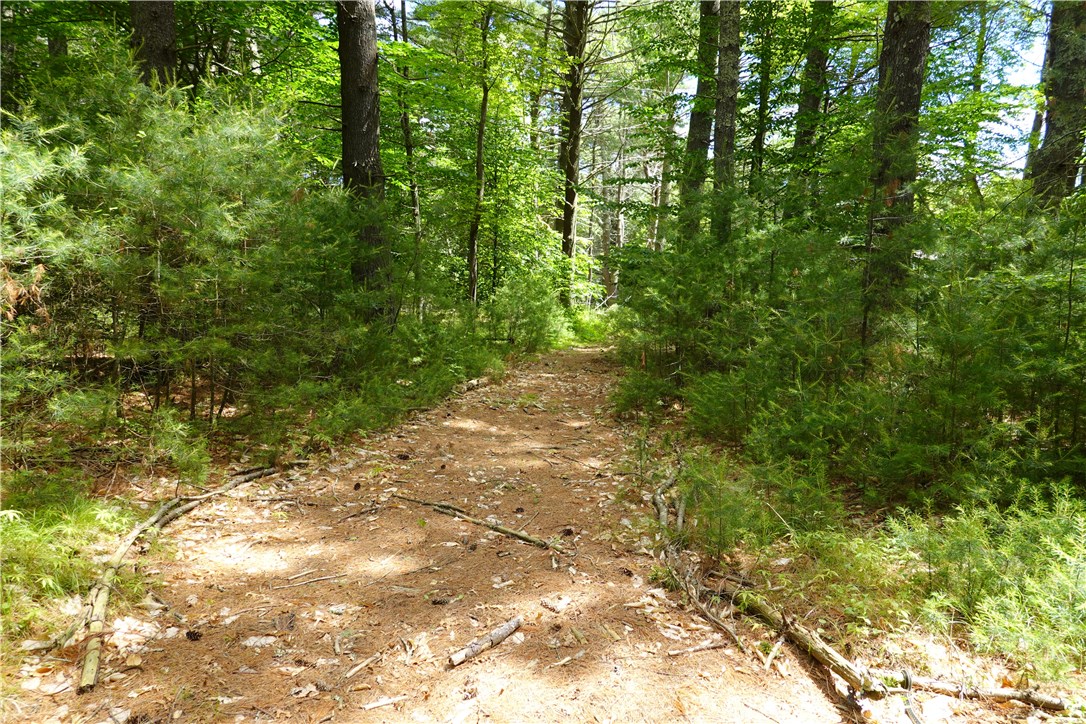 0 Dormar Road Wood River Junction, RI 02894 - Photo 9 of 10