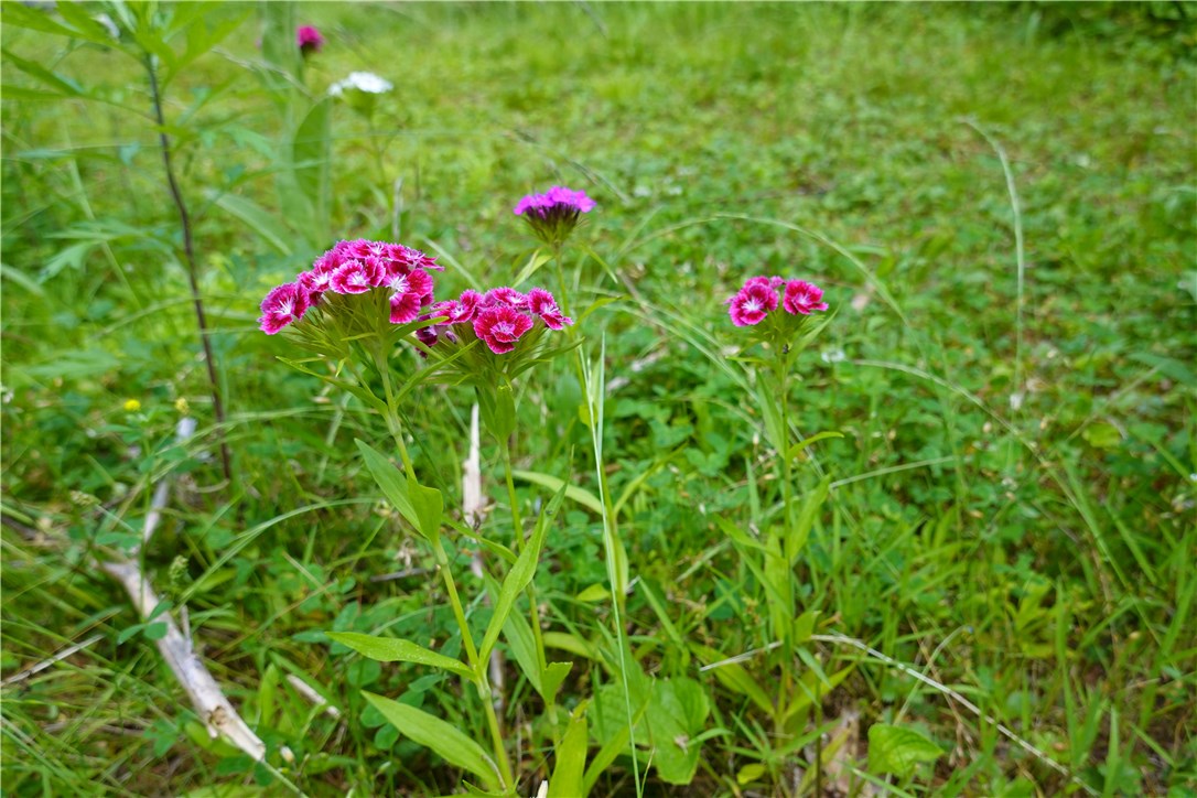 0 Dormar Road Wood River Junction, RI 02894 - Photo 10 of 10