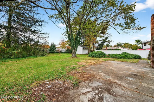 a view of a yard with plants and trees