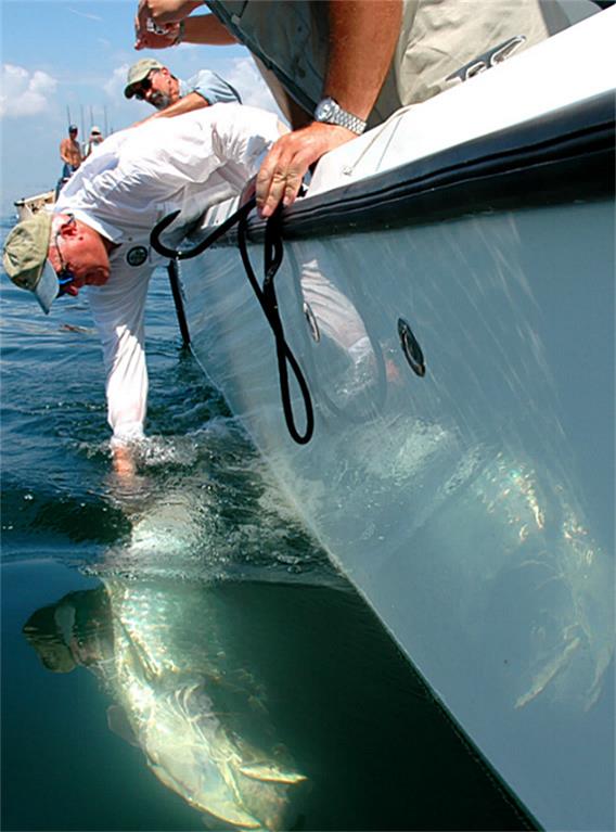 4 Loggerhead Hitchcock, TX 77563 - Photo 36 of 38 a view of swimming pool from a lake