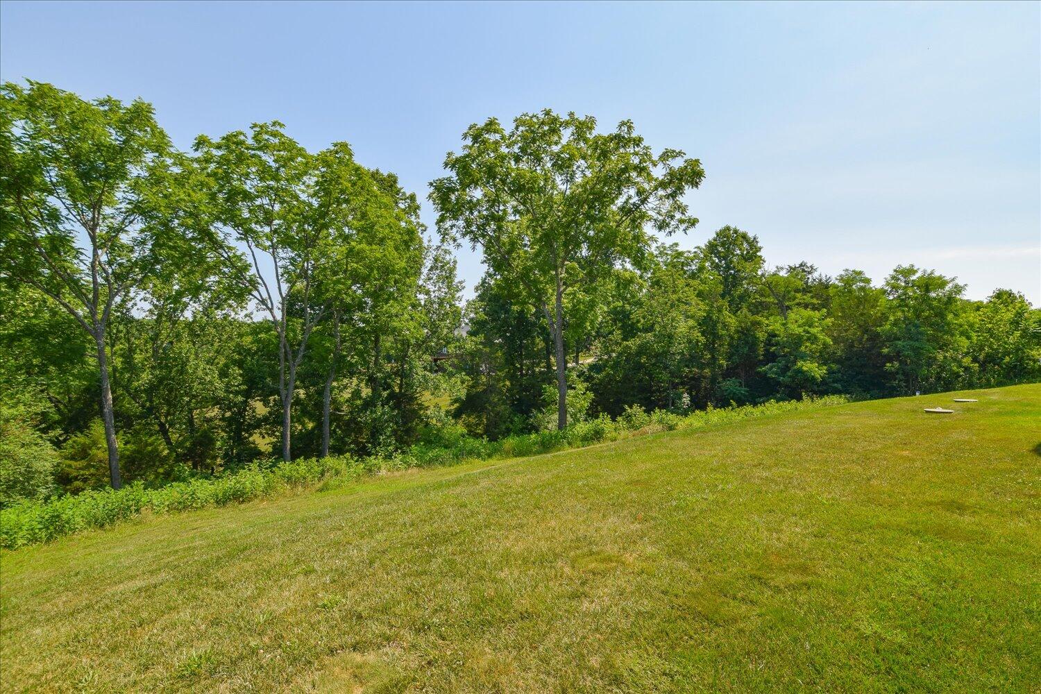 416 Nyle Ridge Road Wirtz, VA 24184 - Photo 46 of 47 43-416 Nyle Ridge-43