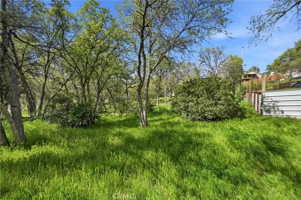 a view of backyard with green space